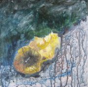 Apfelstudie 5, Acryl auf Leinwand, 30x30, 2009